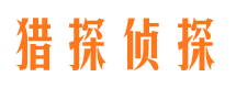 红桥侦探